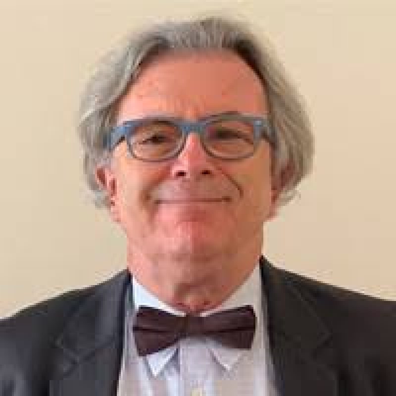 LUIZ ALBERTO DAVID DE ARAUJO
